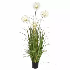 Dmuchawiec w doniczce Led