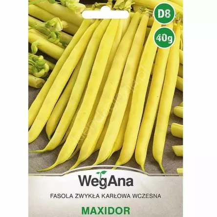 Fasola szparagowa żółta Maxidor karł. 40g W