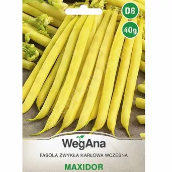 Fasola szparagowa żółta Maxidor karł. 40g W