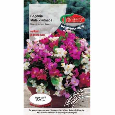 Begonia stale kwitn. różowe liście cz. 0,02g To