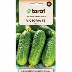 Ogórek Victoria F1 5g T