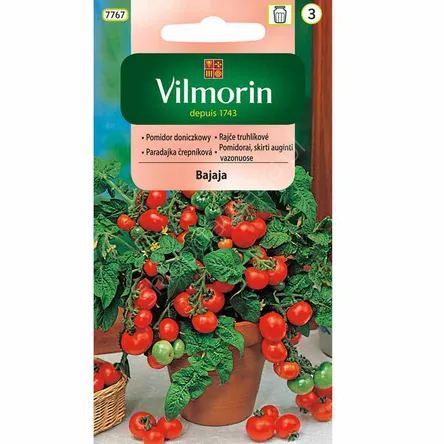 Pomidor Bajaja 0,5g Vilmorin