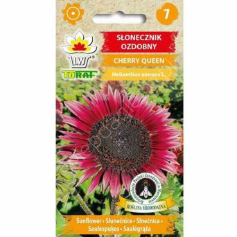 Słonecznik ozdobny Cherry Queen 2g T 