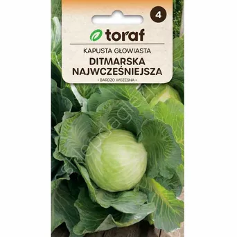 Kapusta biała Ditmarska 2g T