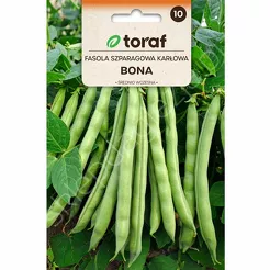 Fasola szparagowa zielona Bona  karłowa 30g T