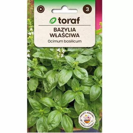 Bazylia pospolita 1g T