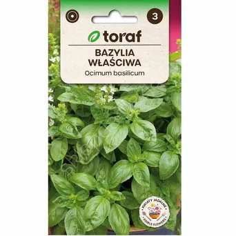 Bazylia pospolita 1g T