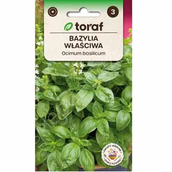Bazylia pospolita 1g T 
