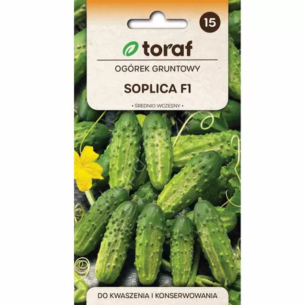 Ogórek Soplica F1 5g T