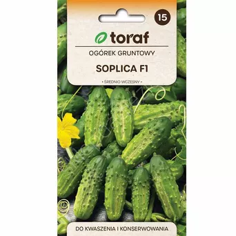 Ogórek Soplica F1 5g T