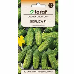 Ogórek Soplica F1 5g T