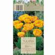 Tulipan Double Beauty Of Apeldoorn 12-14 7szt DCO