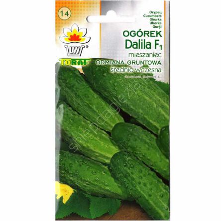 Ogórek Dalila F1 5g T