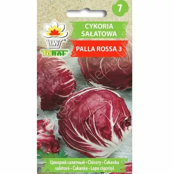 Cykoria Palla Rossa 3 5g T czerwona