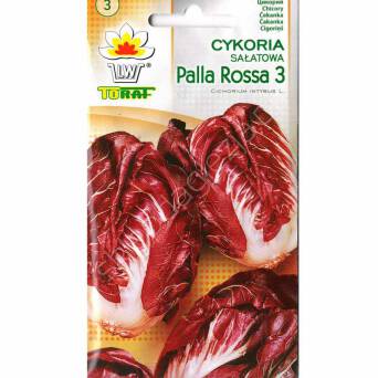 Cykoria Palla Rossa 3 5g T czerwona