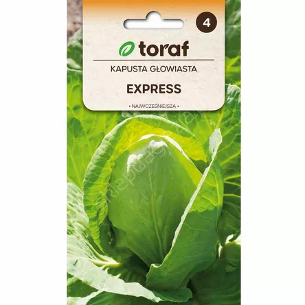 Kapusta biała Express 1g T