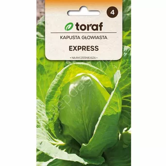 Kapusta biała Express 1g T 