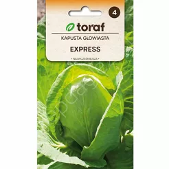 Kapusta biała Express 1g T 
