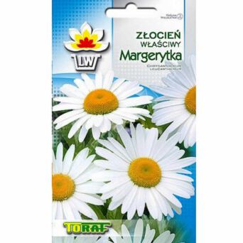 Złocień Margaretka 1g T