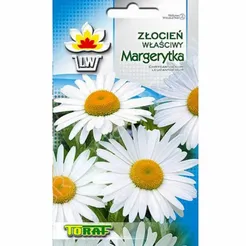 Złocień Margaretka 1g T