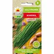 Szczypiorek ogrodowy Bohemia 2g Toraf