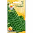 Szczypiorek ogrodowy Bohemia 2g Toraf