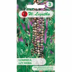 Łazawica, Łzy Hioba 3g  L