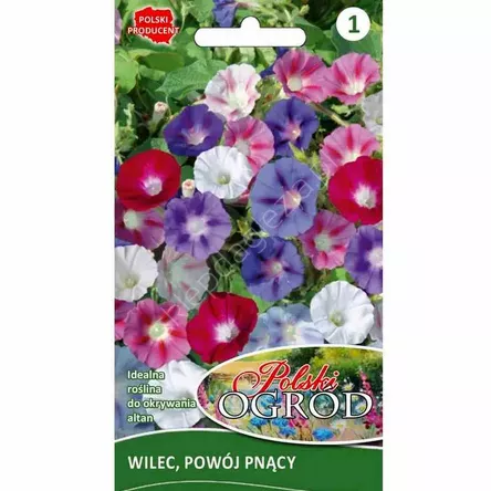 Wilec, Powój pnący 4g L