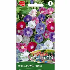 Wilec, Powój pnący 4g L 