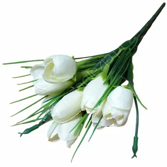 Krokus Bukiet z trawą kremowy 10szt