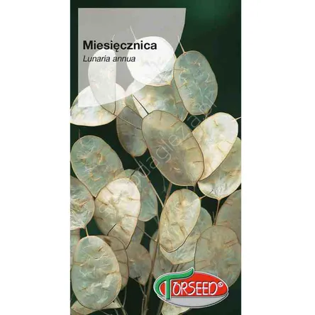 Miesięcznica Lunaria annua 2g To