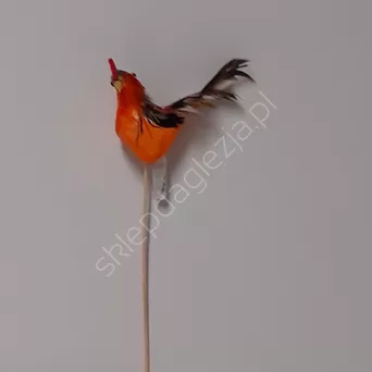 Pik Kogut drewniany