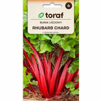 Burak liściowy Rhubarb Chard 5g T