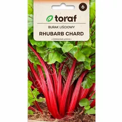 Burak liściowy Rhubarb Chard 5g T