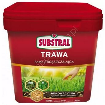 Trawa nasiona Renowacja 5kg Substral