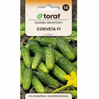 Ogórek Corveta F1 3g T 