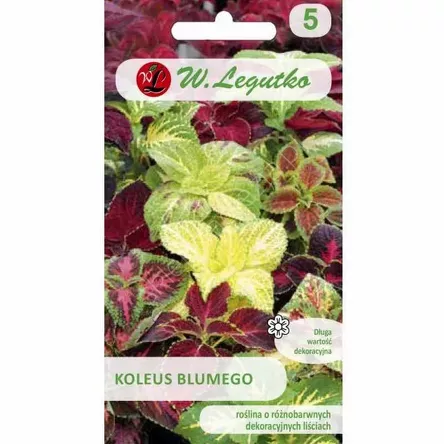 Koleus Pokrzywka mieszanka 0,1g L Standart