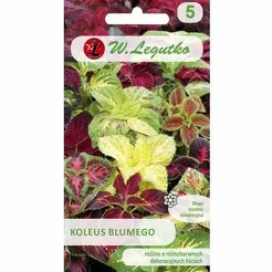 Koleus Pokrzywka mieszanka 0,1g L Standart