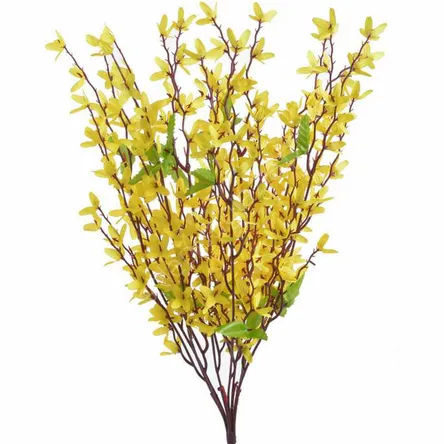 Forsycja x7
