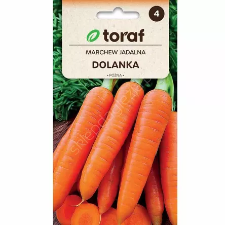 Marchew Dolanka  5g T