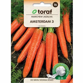 Marchew Amsterdam 3 Taśma 6m T 