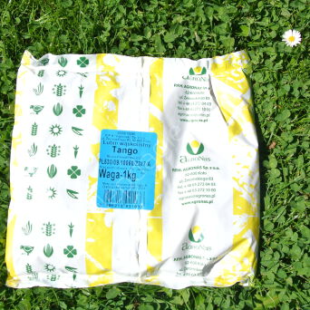 Łubin Wąskolistny Sonet/Regent C/1 1kg