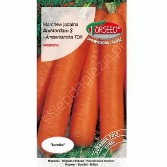 Marchew Amsterdam3  5g To