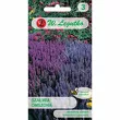 Szałwia omszona fioletowoniebieska 0,1g L