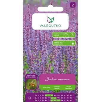 Szałwia omszona fioletowoniebieska 0,1g L