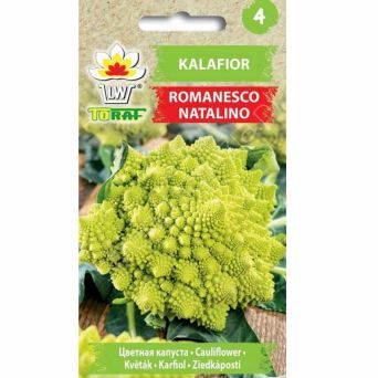 Kalafior Romanesco natalino 1g T