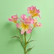 Alstromeria 63cm