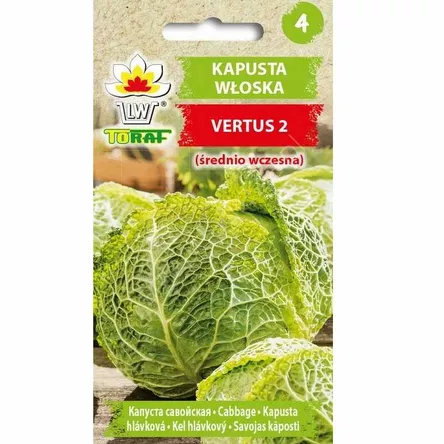Kapusta włoska Vertus 2 2g T