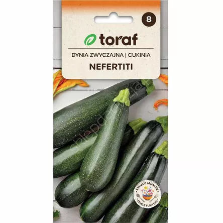 Cukinia Nefertiti 3g T