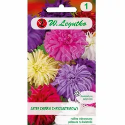 Aster chryzantemowy mix. 1,25g L